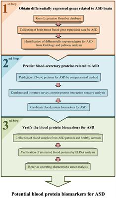 Protein Biomarkers of Autism Spectrum Disorder Identified by Computational and Experimental Methods